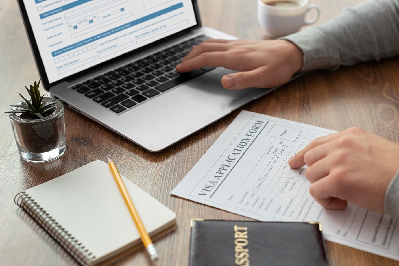 Employment Immigration Lawyer