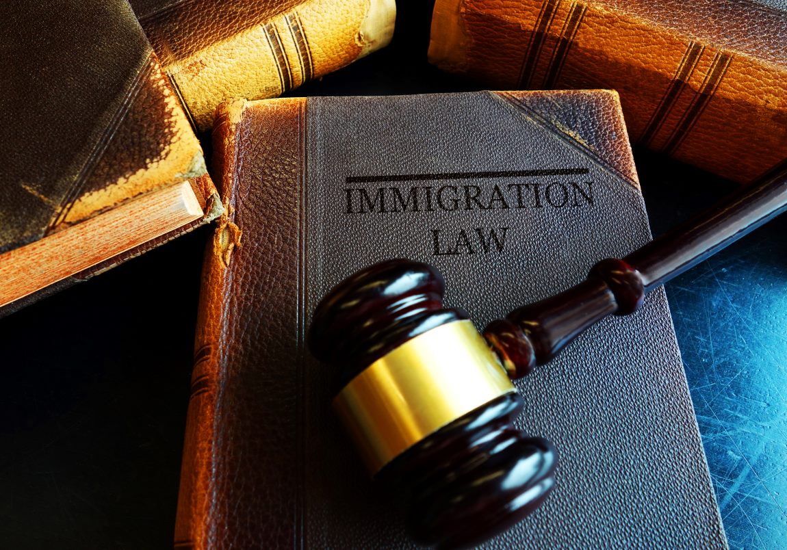 Immigration Lawyer