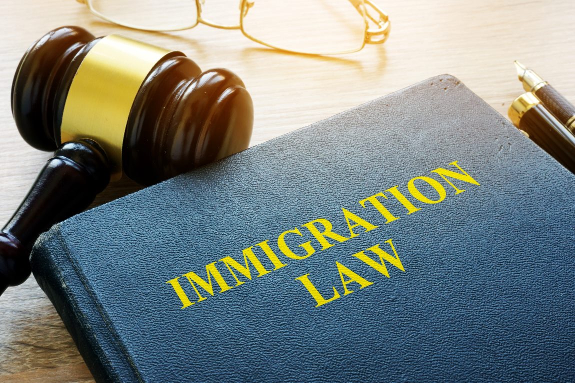 Immigration Lawyer